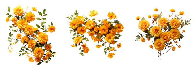 Wall Mural - Set of beautiful marigold flowers. Summer floral decoration cutouts.