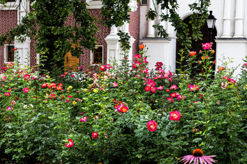 Garden near the house