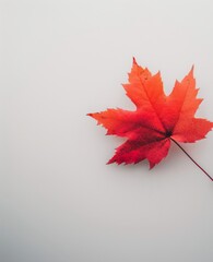 Canvas Print - Bright Red Maple Leaf on Neutral Background in Autumn