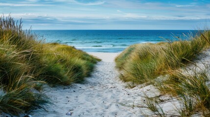 Wall Mural - Footpath through dunes to a beach