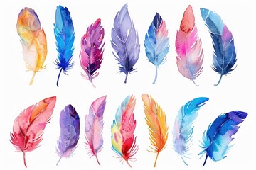 Aufkleber - A collection of colorful feathers on a white background, ideal for designs and illustrations