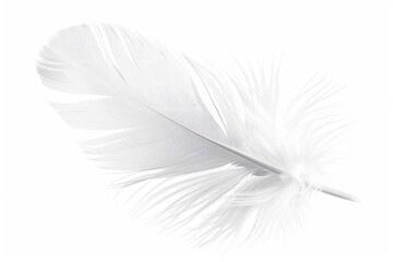 Poster - A single white feather sits on a white background
