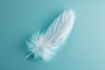 Wall Mural - A single white feather sitting on a bright blue surface