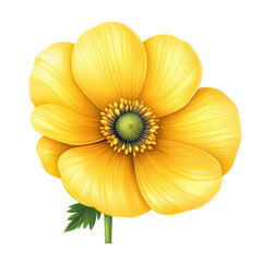 Wall Mural - A yellow flower with a green stem