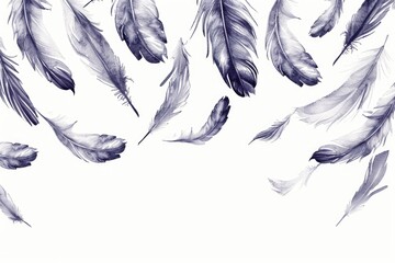 Wall Mural - A collection of feathers suspended in mid-air, creating a whimsical scene