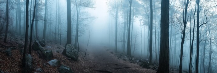 Wall Mural - A forest with foggy weather and trees. The trees are tall and the sky is cloudy. Scene is mysterious and eerie
