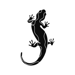 Wall Mural - Silhouette of reptile, salamander, gecko, lizard isolated on white background.