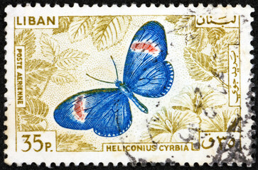 Wall Mural - Postage stamp Lebanon 1965 red postman butterfly, heliconius erato cybria