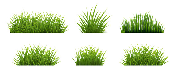 Wall Mural - Green Grass Set Isolated Background