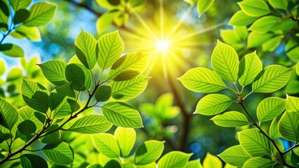 Wall Mural - Sunlight Through Green Leaves, Nature, Photography, Macro, Spring