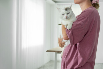 In a beautifully serene scene, a person is gently holding a soft and fluffy cat in a minimalist styled room