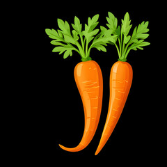 two carrots on black background with one curled or deformed and the other straight. healthy orange v