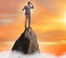 Wall Mural - Businessman at the top of mountain