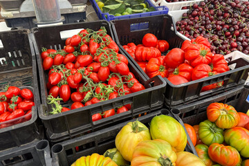 Rtipe tomatos at Italian farmers market