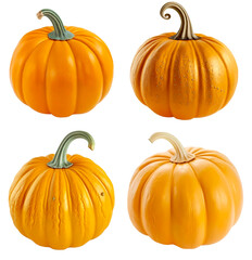 Natural set of pumpkin isolated on white background for art design