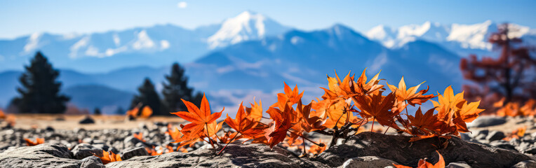 Wall Mural - A mountain range with a lake in the foreground.