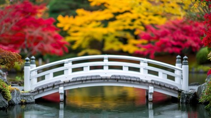 Poster - Scenic view of a Japanese garden with a traditional bridge and a pond, surrounded by red and yellow maple trees during momiji-gari 