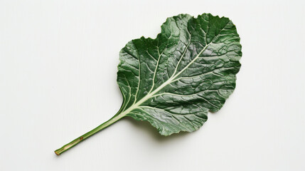 Wall Mural - A whole turnip leaf isolated on white