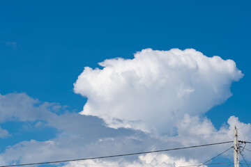 Wall Mural - white fluffy clouds isolated on a black background