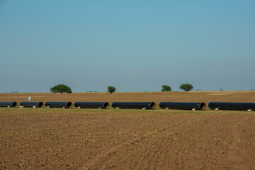 Gas pipeline construction, La Pampa province , Patagonia, Argentina.