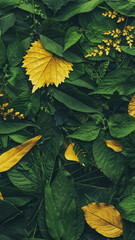 Wall Mural - foliage background with a variety of vibrant plant leaves showing a diverse ecosystem and the biodiv