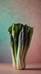 Canvas Print - bok choy on plain colorful pastel background abstract ad concept copy space