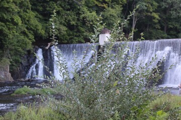 waterfall in the forest