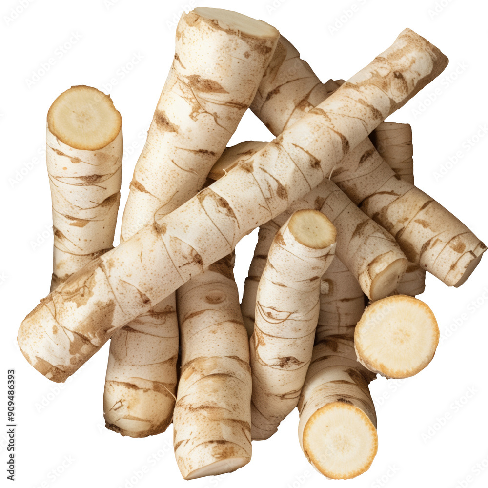 Arrowroot Root and Leaves Isolated on Transparent Background - High ...