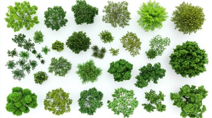Aerial View of Various Green Trees on White Background