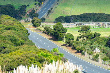 Wall Mural - New Zealand State Highway 1