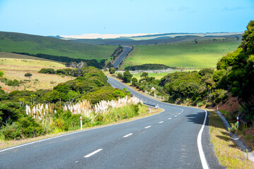 Wall Mural - New Zealand State Highway 1