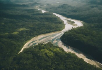 view Siargao valley Island Philippines river Aerial Water Sky Nature Leaf Forest Cloud Beauty Ocean Tropical Blue Vacation Sand Palm tree Trees Beautiful Natural Drone Lagoon Perspec