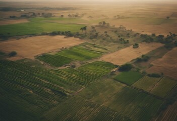 Poster - Agriculture Africa View Aerial Nigeria Farm Ghana Cameroon Jungle Vegetables Wheat Abandoned Malabo Island Malaysian Forrest Beach Nature Tree Sea Green Ocean Tropical Plant