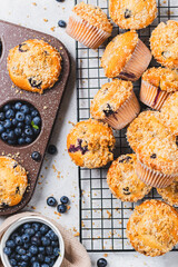 Blueberry muffins and blueberry berries