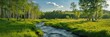 © Brian - Beautiful natural landscape with trees, grass, and a stream of water