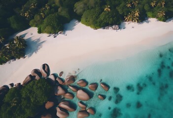 Wall Mural - Aerial beautiful beach drone seychelles photo Sea Ocean Island Tropical Blue Palm Turquoise Nature Paradise Lagoon Adventure Summer Travel Tree Sun Lifestyle Vacation Sa