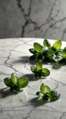 Sticker - peppermint leaves on luxurious white marble table countertop in kitchen background ad concept copy space