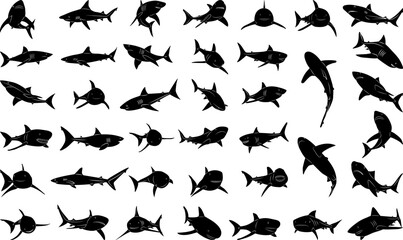 Sticker - sharks in different angles set, silhouette collection, on white background vector