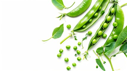 Poster - Top view fresh green peas with protein power from green peas plant base protein concept isolated on white background : Generative AI