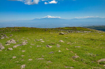 Wall Mural - Mount Ararat scenic view from the meadows on the slopes of Mount Aragats (Aragatsotn province, Armenia)