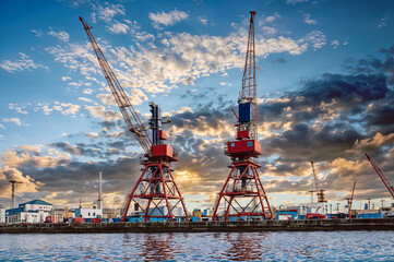 Canvas Print - cranes in port