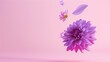 © The Little Hut - Beautiful fresh purple Dahlia flower falling in the air isolated on pink background Levitation or zero gravity conception High resolution image : Generative AI
