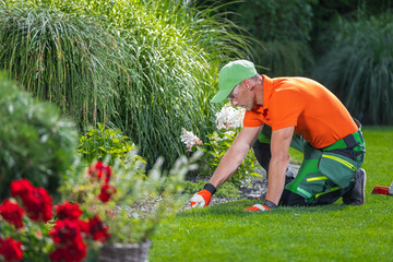 Gardener Tending to Flower Bed in Early Afternoon at a Lush Green Landscape