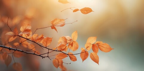 Poster - autumn leaves on a branch
