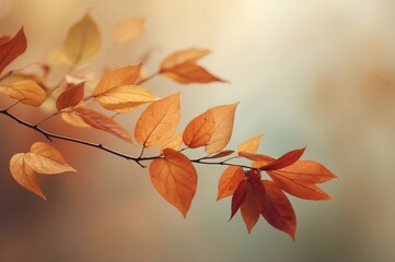 Poster - autumn leaves on a branch
