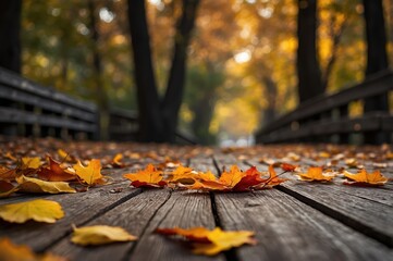 Poster - autumn leaves on wooden pathway
