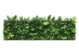 Sections of green vertical garden walls with various plants. PNG image