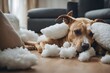 © sandra - homeware tearing funny piece fluffy home dog enjoying pillow apart playful process staffordshire terrier destroying mischief pet action animal chew concept crazy cute damage destroy disobey fail