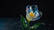 © Yanna - a photo of a single calla lilyflower centered on a cle background