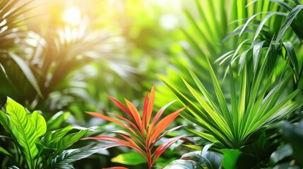 Aufkleber - Vibrant green and red foliage flourishes under bright sunlight in a warm greenhouse, showcasing diverse tropical plants in a tranquil setting